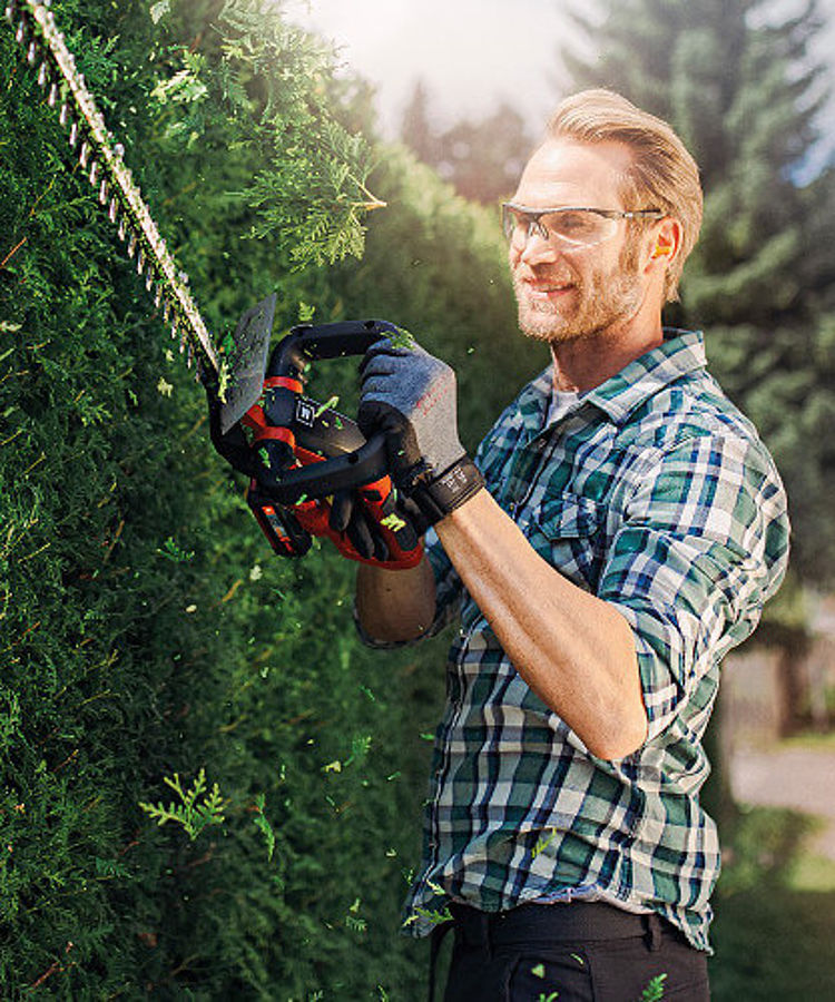 man cutting hedge with a hedge trimmer